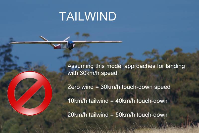 tailwind landing